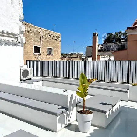 Saint Patrick Konukevi 4*