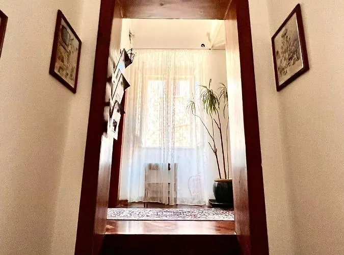 Saint Patrick 게스트하우스