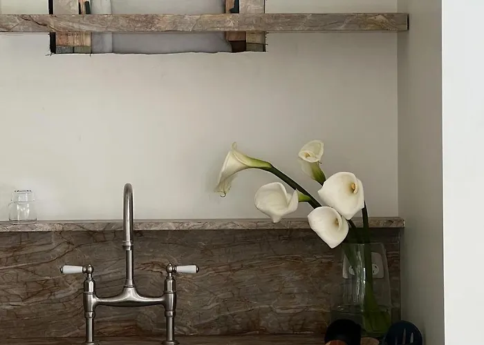 Saint Patrick Barletta